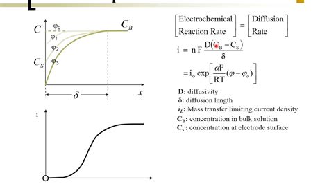 Fuel Cell 07 08 Electrode Kinetics Voltage Losses Concentration