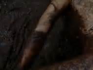 Naked Mallika Sherawat In Hisss