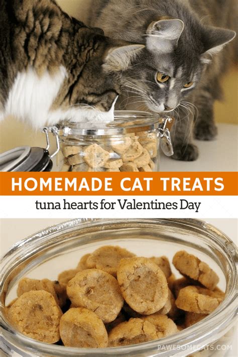 Tasty Homemade Cat Treats With Tuna And Catnip Cat Treats Homemade Diy Cat Treats Homemade Cat