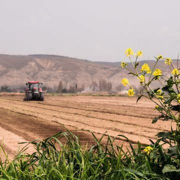 Ark Invest Europe How John Deere And Starlink Are Boosting Farm