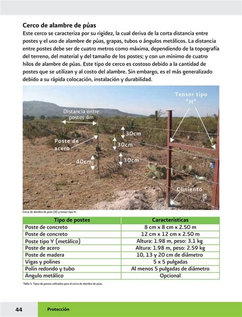 Manual Practicas De Reforestacion Pdf