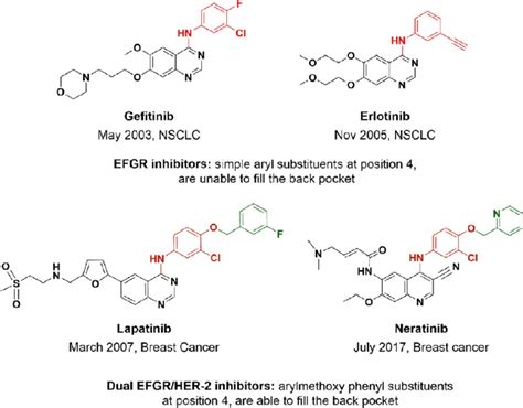 Chemical Structure For The FDA Approved EGFR And Dual EGFR HER2 Kinase