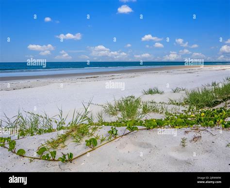 Empty Atlantic Ocean Beach In Northeast Florida Usa Stock Photo Alamy