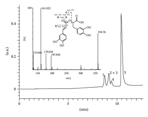 HPLC Chromatogram Of The S Hortensis Rosmarinic Acid Fraction The