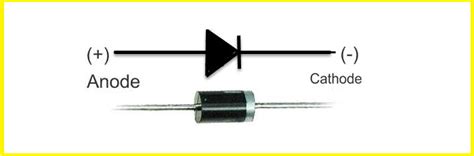 What is a Rectifier Diode? - everything PE