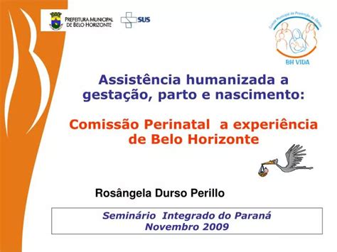 Ppt Assist Ncia Humanizada A Gesta O Parto E Nascimento Powerpoint