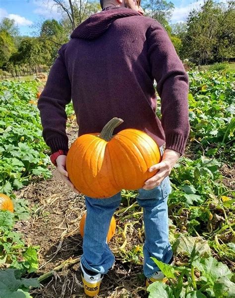 Bumpkin Trend Takes Instagram By Storm As People Pose For Cheeky Pumpkin Snaps Daily Star