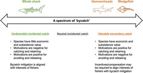 Results for each study species mapped onto the bycatch spectrum ...