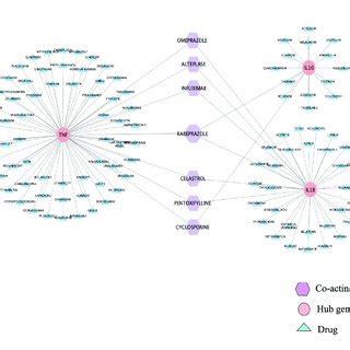 Drug Gene Interaction DGIdb Database Predicted Six Drugs Acting On