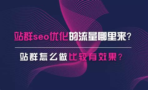 Seo怎么做站群推广（seo站群系统） 8848seo