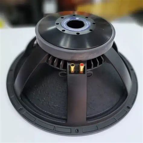 Bm Az Midrange Naked Speaker