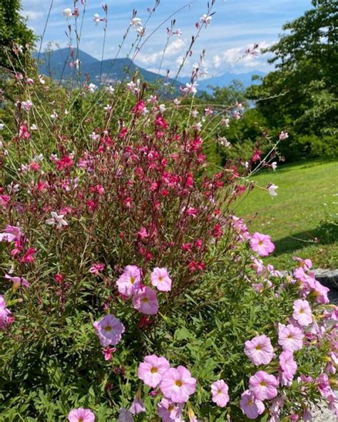 I Giardini Di Villa Taranto A Verbania Ti Chiamo Quando Torno