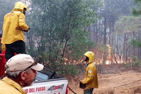 Los Incendios En Corrientes Ya Arrasaron Mil Hect Reas Agenda