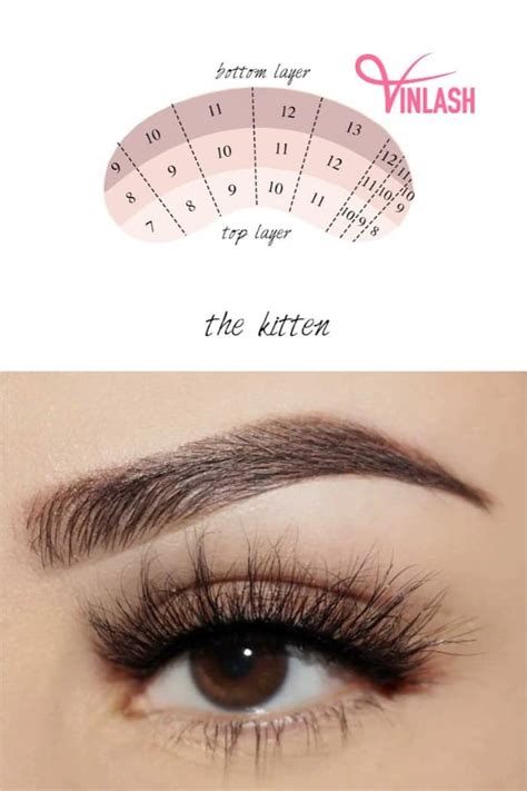 10 Popular Lash Maps To Level Up Your Artistry And Business