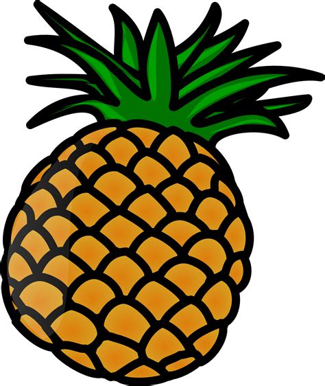 Pineapple Vector Art Graphic Png Image