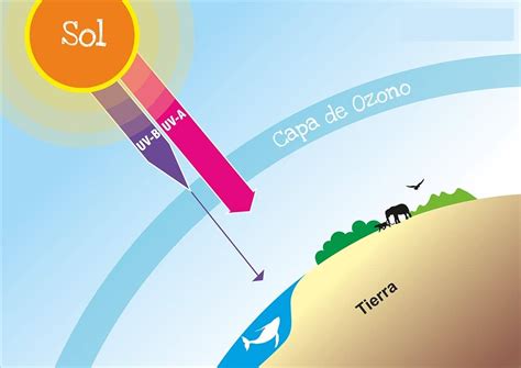 RADIACIÓN SOLAR Qué es Características Tipos Causas y efectos