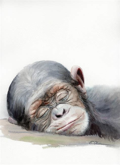 Sleeping Baby Chimpanzee Painting by Emily Olson - Fine Art America