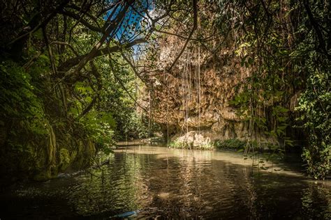 Fontana Lupo Del Fiume Oreto Un Segreto A Due Passi Da Palermo