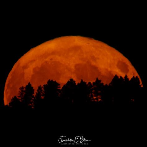 Full Moon Rising - Bliss Photographics Ranch