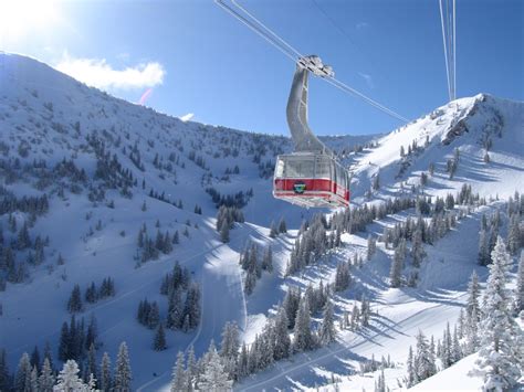 Snowbird ownership changes hands