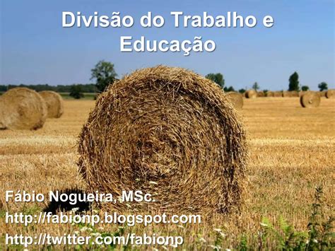 Aula 3 Divisão Do Trabalho E Educação Ppt