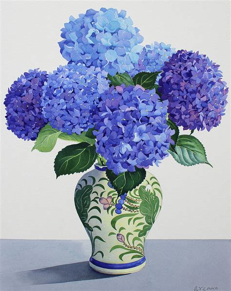 Blue Hydrangeas Painting By Christopher Ryland