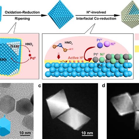 Interfacial Synthesis Of Pt Ni Alloy Nanoshells On Octahedral Pd