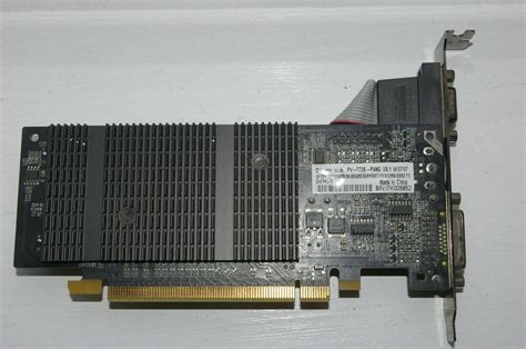 Xfx Pine Group Nvidia Geforce G Mb Vga Dvi Ebay