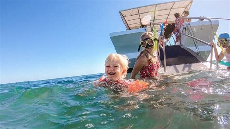 Hervey Bay Eco Marine Tours 2022 Qué Saber Antes De Ir Lo Más Comentado Por La Gente