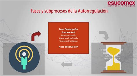 M4las Etapas De La AutorregulaciÓn Youtube