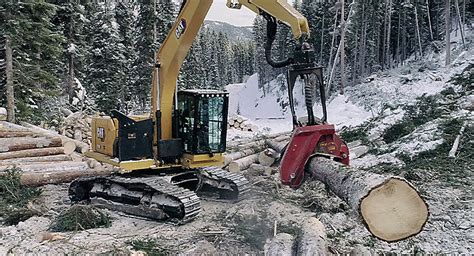 Forestry Cat Caterpillar