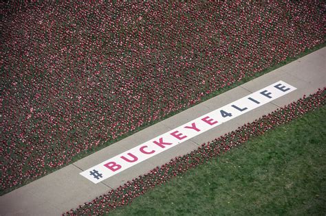 The Ohio State University Wexner Medical Center on LinkedIn: #buckeyes4life