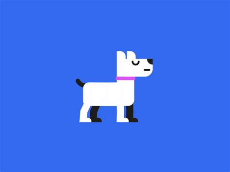 Trusted Companion By Shorts Tales On Dribbble