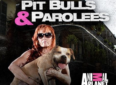 Pit Bulls and Parolees TV Show Air Dates & Track Episodes - Next Episode