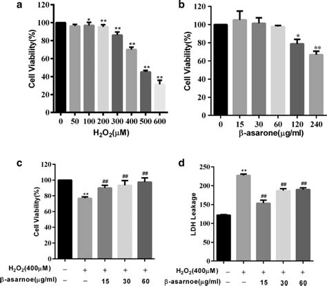 Protective Effects Of β Asarone On The Cell Viability Of Pc12 Cells