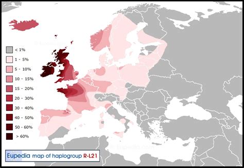 R L21, Z290 and Subclades - Results - FamilyTreeDNA