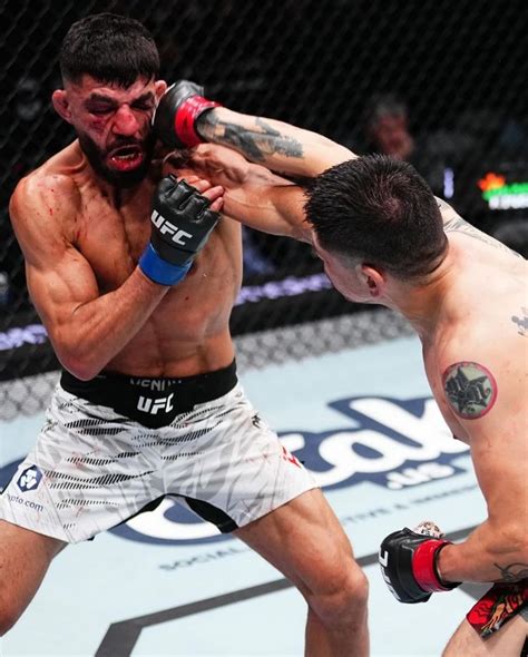 Brandon Moreno Volvi A La Ufc De Forma Triunfal Contra Amir Albazi