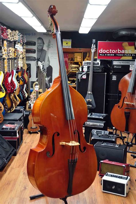 Bass Cello Instrument