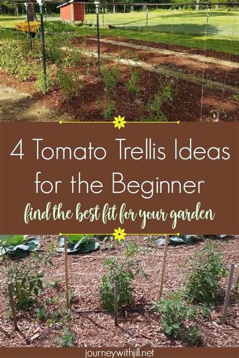 Tomato Trellising Deciding Which Method Is Right For You The