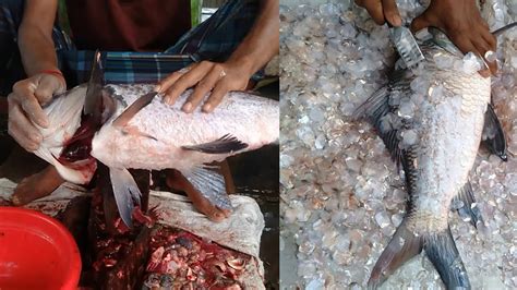 Amazing Giant Katla Carp Fish Cutting Live In Fish Market Fastest Fish