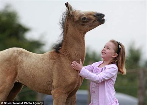 Thai Panda My Little Ugly Pony Maddison Six In Bid To Raise £4000