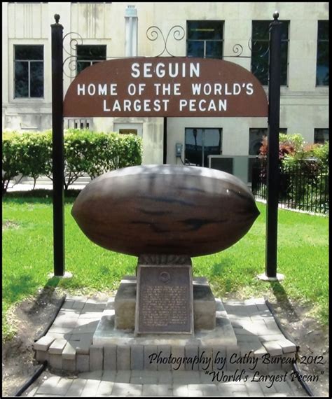 Live Near The Worlds Largest Pecan Seguin Texas