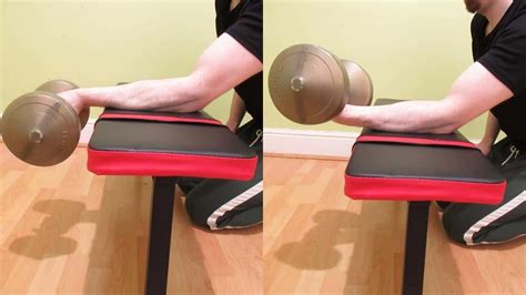 Barbell Wrist Curl For Your Forearms Seatedpalm Up