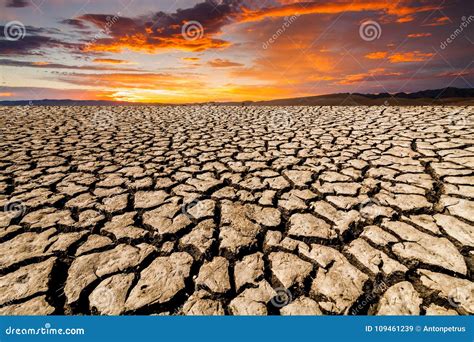 Paisaje Del Desierto Con Tierra Agrietada Imagen De Archivo Imagen De