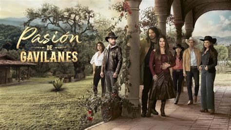 Todo Sobre Pasi N De Gavilanes Fecha De Estreno Trama Reparto