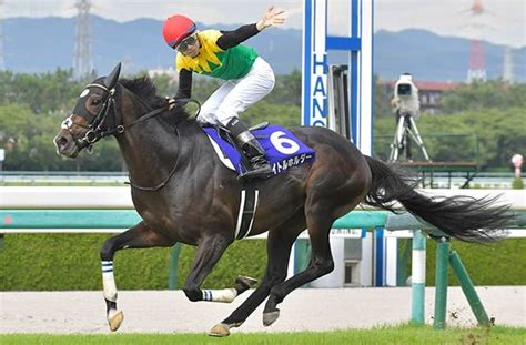 凱旋門賞（g1） 2022102日 日程・結果 Jra Van World 海外競馬情報サイト