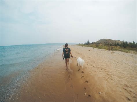 Road Trip Through Michigan’s Lower Peninsula – Planes, Pints, & Paws
