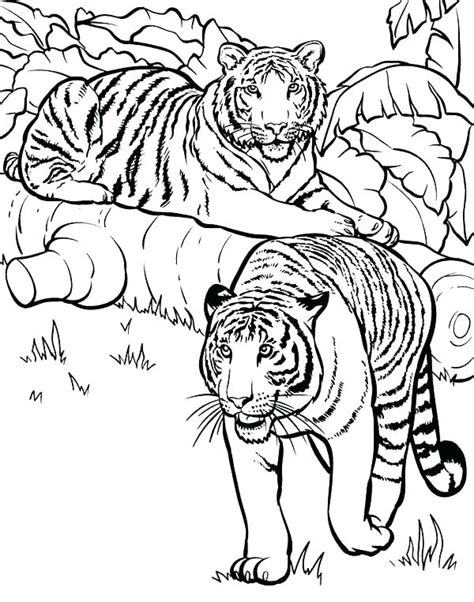 Detroit Tigers Coloring Pages At Free Printable