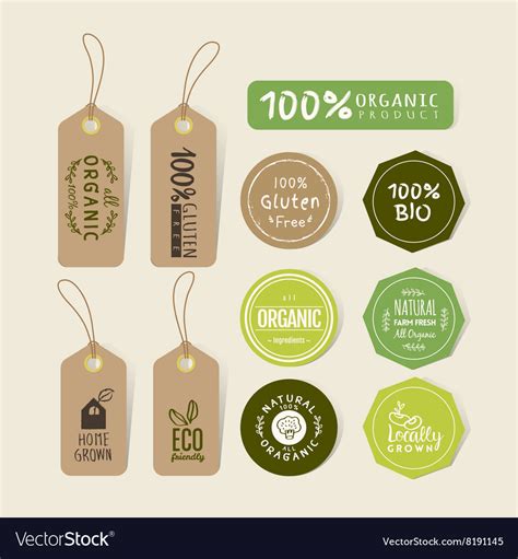 Set of organic food tag and label sticker Vector Image