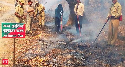 Uttarakhand Forest Fires 10 Things To Know Uttarakhand Forest Fires